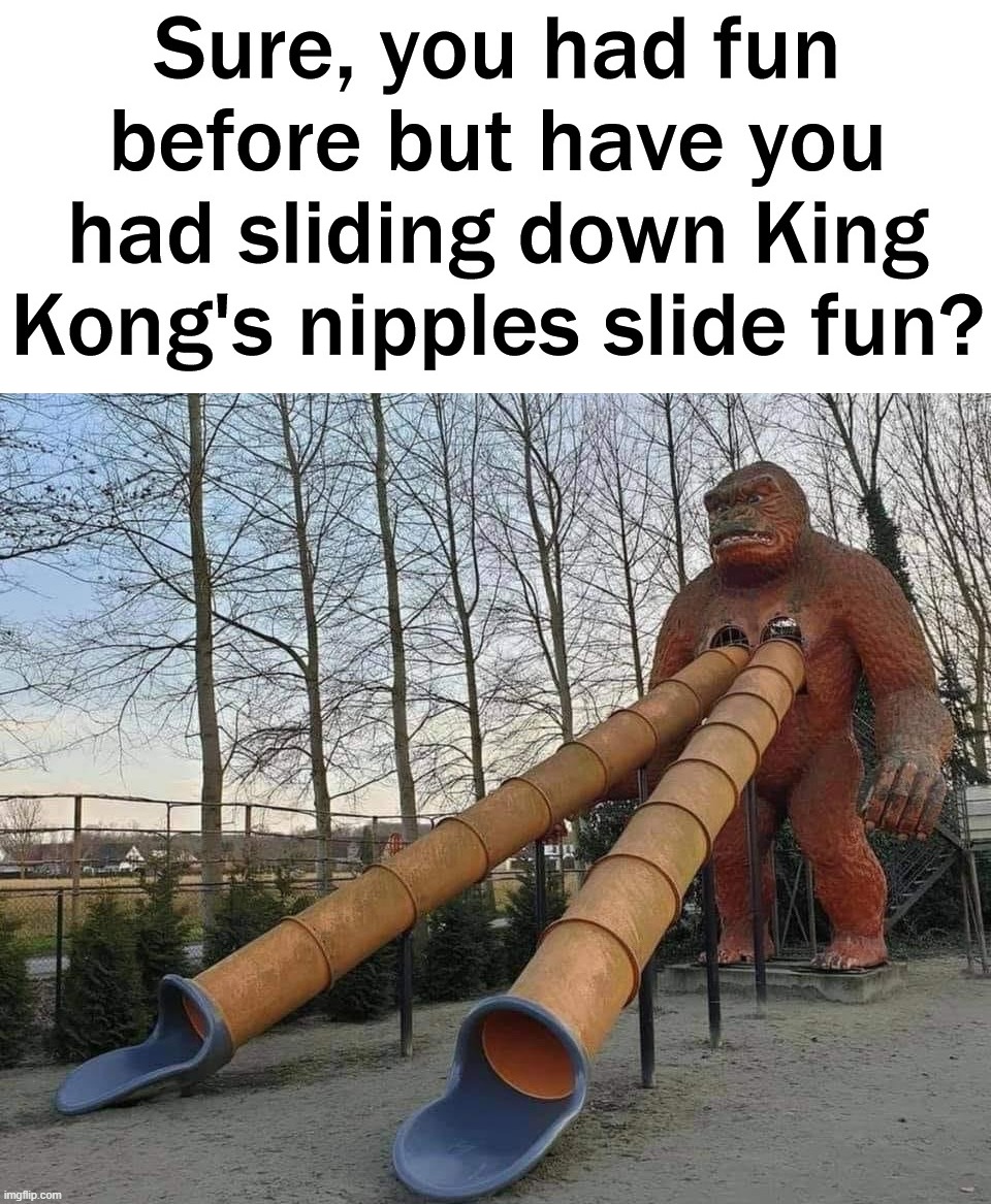 Wanna have some fun? | image tagged in king kong | made w/ Imgflip meme maker