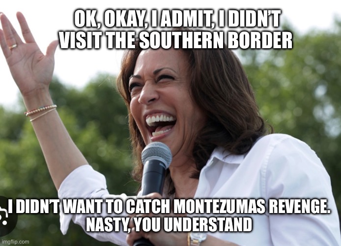 OK, OKAY, I ADMIT, I DIDN’T VISIT THE SOUTHERN BORDER; I DIDN’T WANT TO CATCH MONTEZUMAS REVENGE. 
NASTY, YOU UNDERSTAND | made w/ Imgflip meme maker