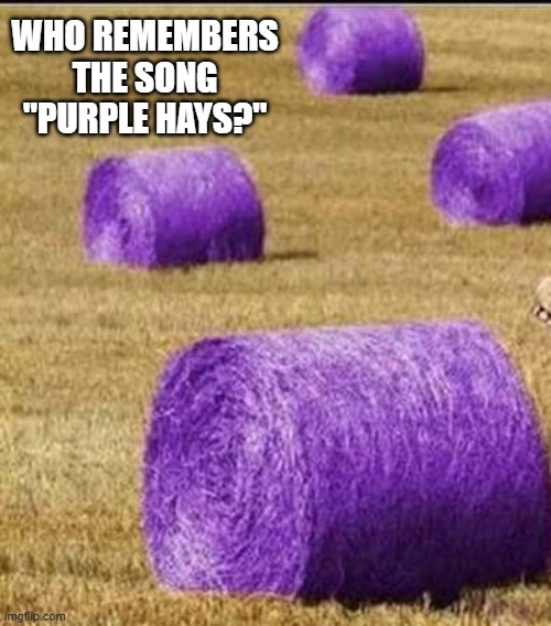 memes by Brad - Who remembers the song Purple Hays? | WHO REMEMBERS THE SONG "PURPLE HAYS?" | image tagged in funny,fun,music,play on words,prince,humor | made w/ Imgflip meme maker