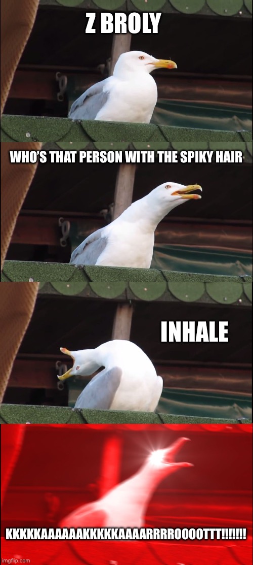 Inhaling Seagull | Z BROLY; WHO’S THAT PERSON WITH THE SPIKY HAIR; INHALE; KKKKKAAAAAAKKKKKAAAARRRROOOOTTT!!!!!!! | image tagged in memes,inhaling seagull | made w/ Imgflip meme maker