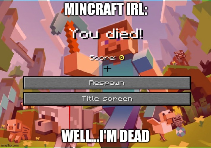 byeeee | MINCRAFT IRL:; WELL...I'M DEAD | image tagged in minecraft,gaming | made w/ Imgflip meme maker