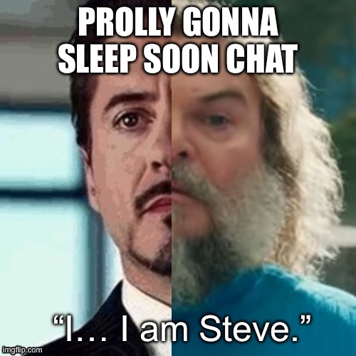 I am Steve | PROLLY GONNA SLEEP SOON CHAT | image tagged in i am steve | made w/ Imgflip meme maker