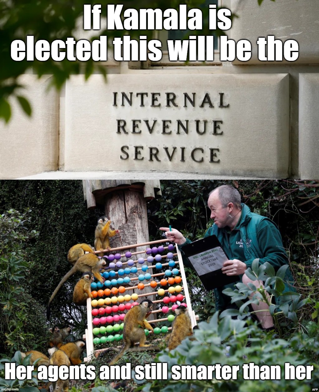 IRS under Harris/Walz | If Kamala is elected this will be the Her agents and still smarter than her | image tagged in politics | made w/ Imgflip meme maker