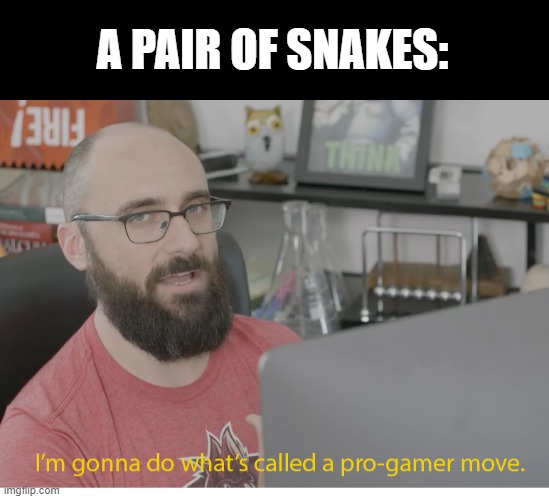 I'm gonna do what's called a pro-gamer move. | A PAIR OF SNAKES: | image tagged in i'm gonna do what's called a pro-gamer move | made w/ Imgflip meme maker