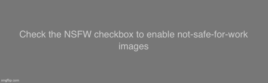 Check the NSFW checkbox to enable not-safe-for-work images | made w/ Imgflip meme maker