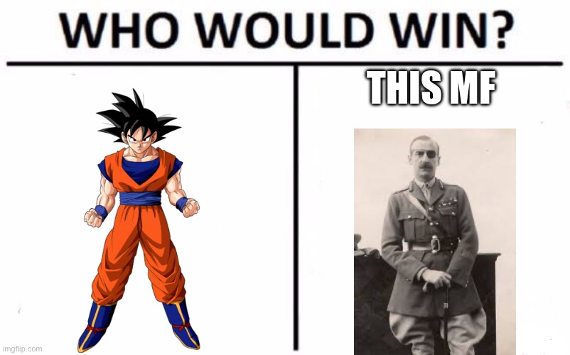 Who Would Win? | THIS MF | image tagged in memes,who would win | made w/ Imgflip meme maker