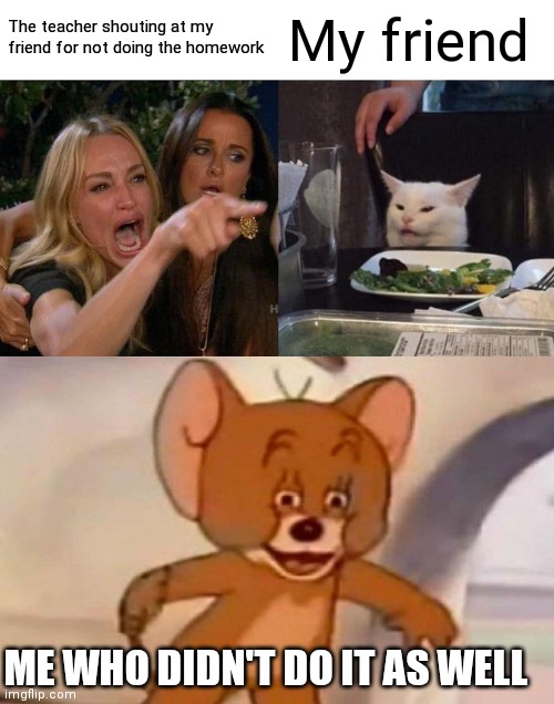 Homework... | The teacher shouting at my friend for not doing the homework; My friend; ME WHO DIDN'T DO IT AS WELL | image tagged in memes,woman yelling at cat,tom and jerry swordfight,school | made w/ Imgflip meme maker