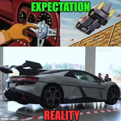 expectation vs reality | EXPECTATION; REALITY | image tagged in memes,funny memes | made w/ Imgflip meme maker