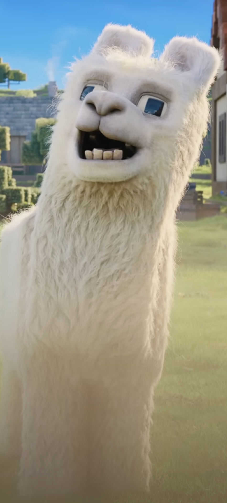 High Quality llama Blank Meme Template