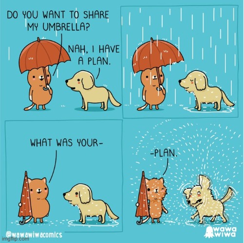 image tagged in cat,dog,rain,umbrella,plan,shake | made w/ Imgflip meme maker