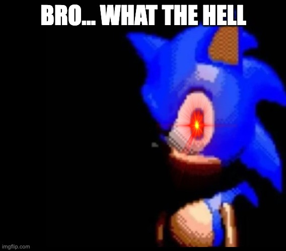 Sonic stares | BRO... WHAT THE HELL | image tagged in sonic stares | made w/ Imgflip meme maker