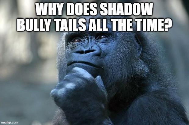 He did it in Sonic X, Sonic Boom, the Boom game and the new movie | WHY DOES SHADOW BULLY TAILS ALL THE TIME? | image tagged in deep thoughts,memes,gaming,shadow,tails | made w/ Imgflip meme maker