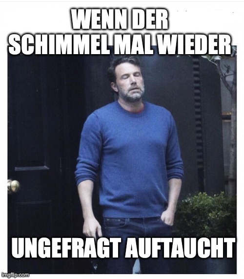 Ben affleck smoking | WENN DER SCHIMMEL MAL WIEDER; UNGEFRAGT AUFTAUCHT | image tagged in ben affleck smoking | made w/ Imgflip meme maker