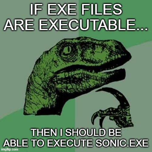 if you think about it, yes | IF EXE FILES ARE EXECUTABLE... THEN I SHOULD BE ABLE TO EXECUTE SONIC.EXE | image tagged in memes,philosoraptor,sonic exe,execution,shower thoughts | made w/ Imgflip meme maker