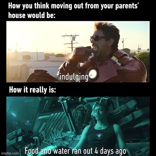 image tagged in memes | made w/ Imgflip meme maker