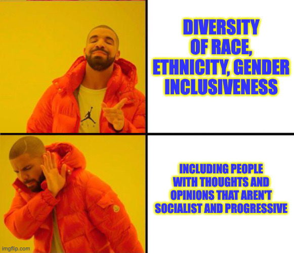 drake yes no reverse | DIVERSITY OF RACE, ETHNICITY, GENDER INCLUSIVENESS INCLUDING PEOPLE WITH THOUGHTS AND OPINIONS THAT AREN'T SOCIALIST AND PROGRESSIVE | image tagged in drake yes no reverse | made w/ Imgflip meme maker