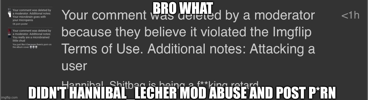 This is one of the most terrible moderations bro wtf | BRO WHAT; DIDN'T HANNIBAL_LECHER MOD ABUSE AND POST P*RN | made w/ Imgflip meme maker