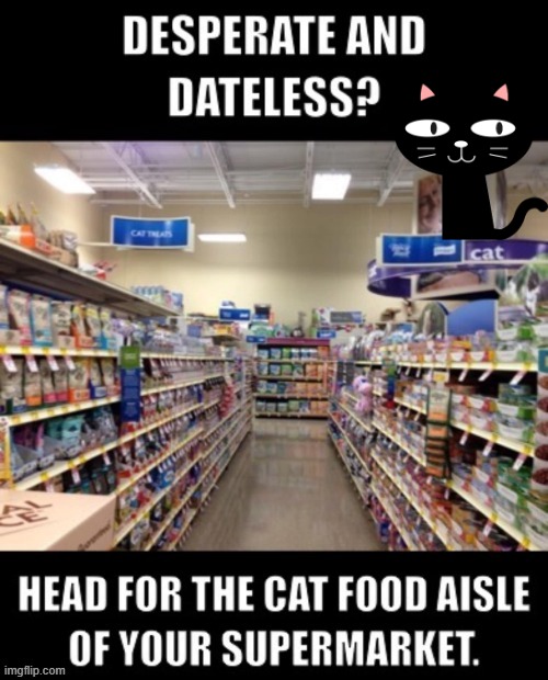 Aisle of Dreams ! | image tagged in lolcats | made w/ Imgflip meme maker