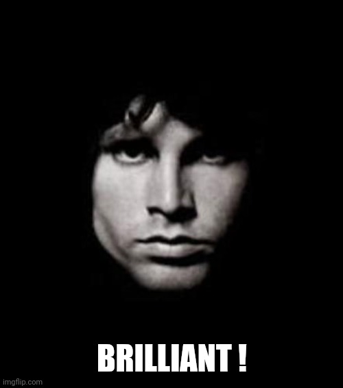 jim morrison | BRILLIANT ! | image tagged in jim morrison | made w/ Imgflip meme maker