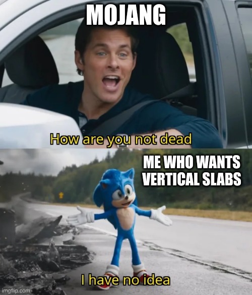 Sonic I have no idea | MOJANG; ME WHO WANTS VERTICAL SLABS | image tagged in sonic i have no idea | made w/ Imgflip meme maker