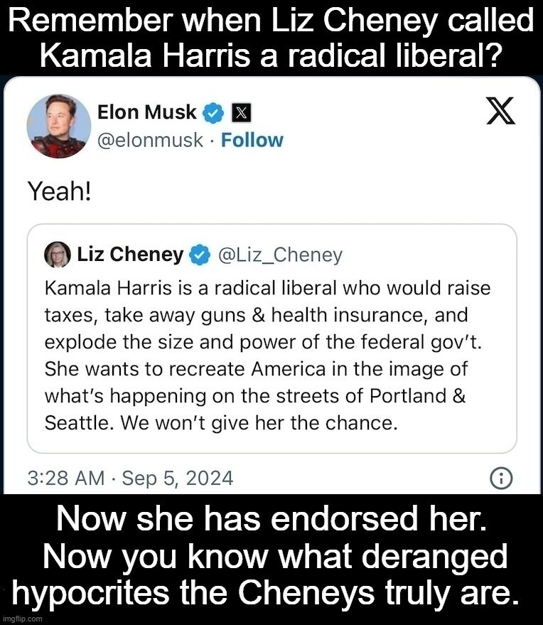 Remember when Liz Cheney called Kamala Harris a radical liberal? | image tagged in liz cheney,turncoat,traitor,lowlife,rino,communist | made w/ Imgflip meme maker