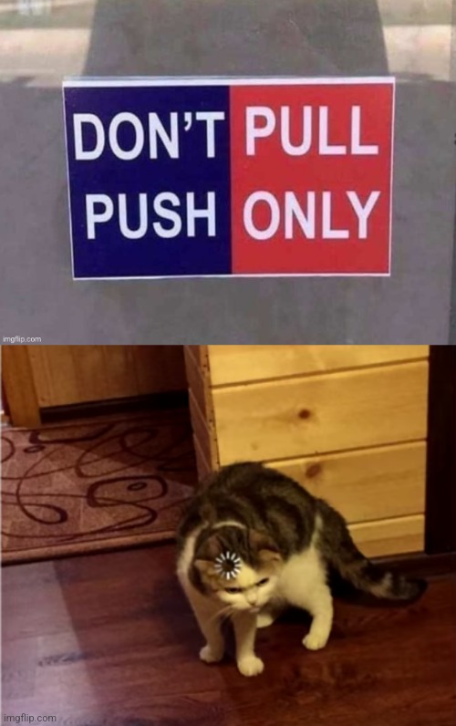 What do I do | image tagged in loading cat hd | made w/ Imgflip meme maker