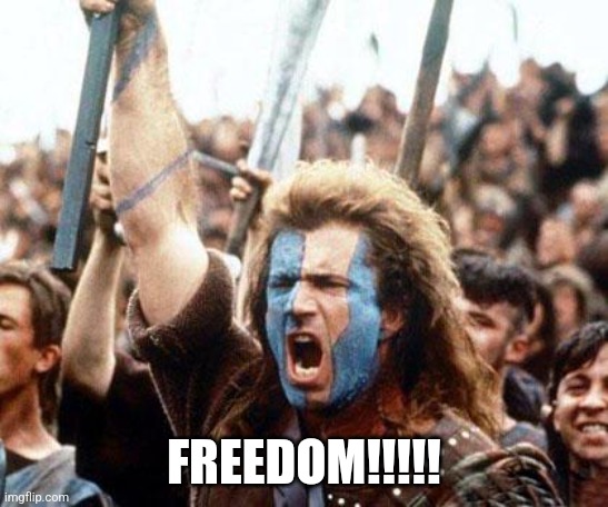 braveheart freedom | FREEDOM!!!!! | image tagged in braveheart freedom | made w/ Imgflip meme maker