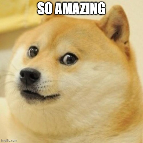 wow doge | SO AMAZING | image tagged in wow doge | made w/ Imgflip meme maker