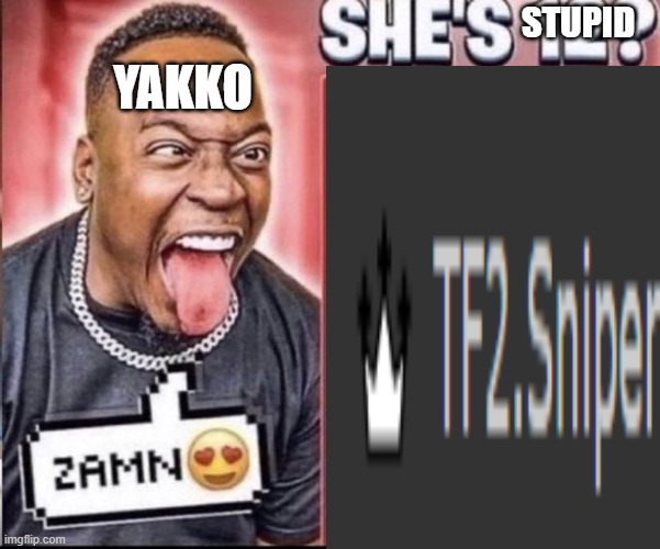 Zamn | STUPID; YAKKO | image tagged in zamn | made w/ Imgflip meme maker