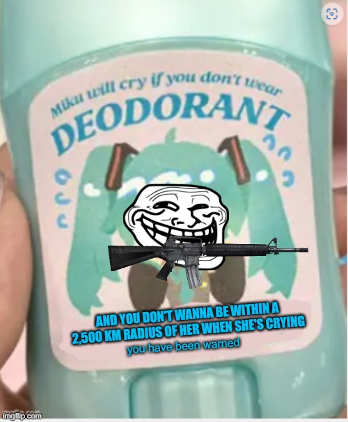 she will find you so WEAR YOUR DEODORANT | AND YOU DON'T WANNA BE WITHIN A 2,500 KM RADIUS OF HER WHEN SHE'S CRYING; you have been warned | image tagged in memes,certified bruh moment,hatsune miku | made w/ Imgflip meme maker