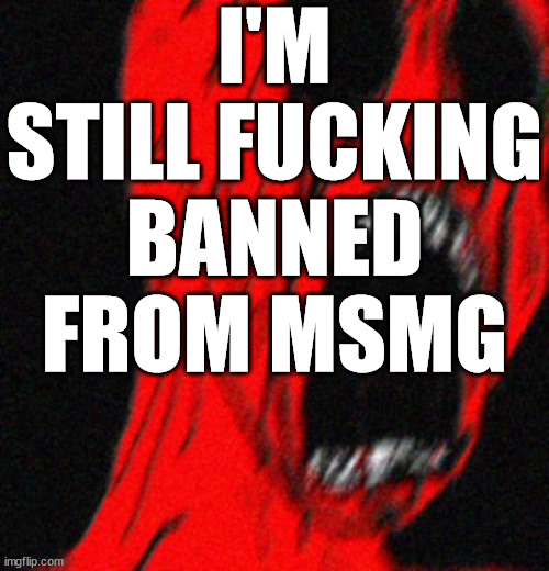 FOR THE LOVE OF GOOOOOD- | I'M STILL FUCKING BANNED FROM MSMG | image tagged in painjak | made w/ Imgflip meme maker