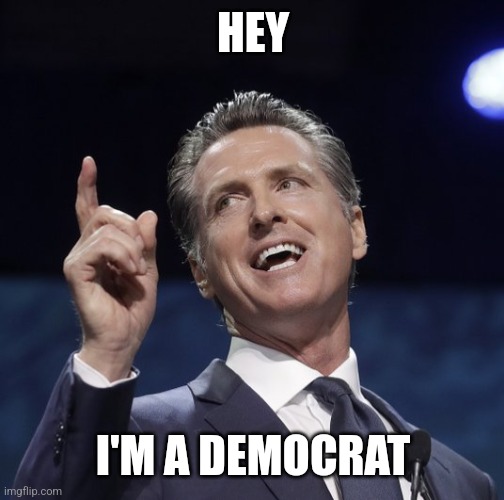 Gavin newsom | HEY I'M A DEMOCRAT | image tagged in gavin newsom | made w/ Imgflip meme maker