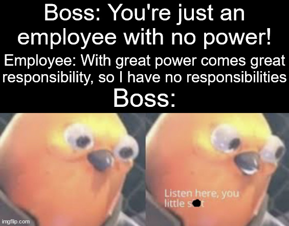 Lol | Boss: You're just an employee with no power! Employee: With great power comes great responsibility, so I have no responsibilities; Boss: | image tagged in listen here you little shit bird,responsibility | made w/ Imgflip meme maker