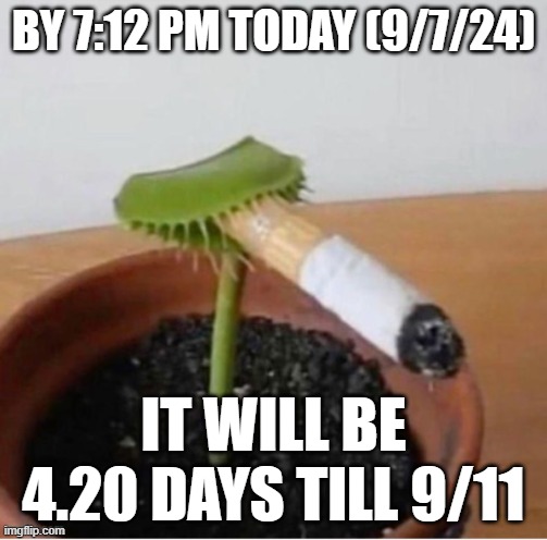 first post on the dark humor stream | BY 7:12 PM TODAY (9/7/24); IT WILL BE 4.20 DAYS TILL 9/11 | image tagged in venus fly trap smoking,9/11 | made w/ Imgflip meme maker