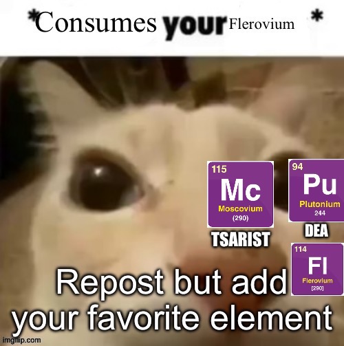 TSARIST | made w/ Imgflip meme maker