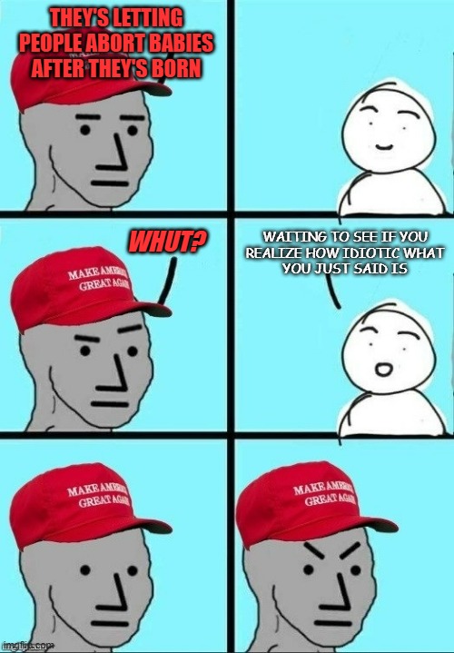 The price of parrotry | THEY'S LETTING PEOPLE ABORT BABIES AFTER THEY'S BORN; WAITING TO SEE IF YOU
REALIZE HOW IDIOTIC WHAT
YOU JUST SAID IS; WHUT? | image tagged in maga npc moment of thought | made w/ Imgflip meme maker