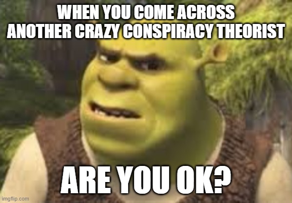 Are you ok? | WHEN YOU COME ACROSS ANOTHER CRAZY CONSPIRACY THEORIST; ARE YOU OK? | image tagged in confused shrek | made w/ Imgflip meme maker