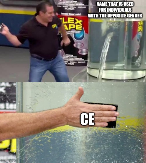 Who tf came up with doing this | NAME THAT IS USED FOR INDIVIDUALS WITH THE OPPOSITE GENDER; CE | image tagged in flex tape | made w/ Imgflip meme maker