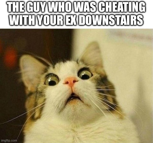 Scared Cat Meme | THE GUY WHO WAS CHEATING WITH YOUR EX DOWNSTAIRS | image tagged in memes,scared cat | made w/ Imgflip meme maker