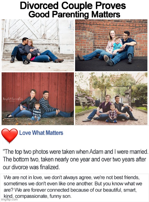 When Life Throws You a Curve Ball | Divorced Couple Proves; Good Parenting Matters | image tagged in life,it will be fun they said,life lessons,expectation vs reality,parenting,wholesome content | made w/ Imgflip meme maker