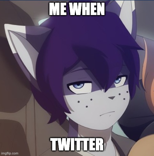 me when twitter | ME WHEN; TWITTER | image tagged in rouen eipril unimpressed | made w/ Imgflip meme maker