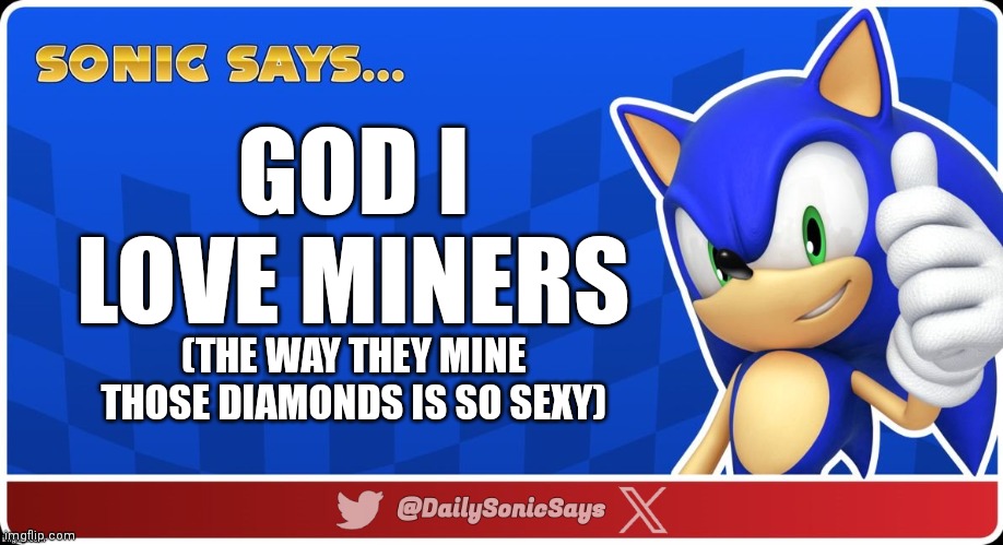 Sonic Says #32 | GOD I LOVE MINERS; (THE WAY THEY MINE THOSE DIAMONDS IS SO SEXY) | image tagged in sonic says v3 | made w/ Imgflip meme maker