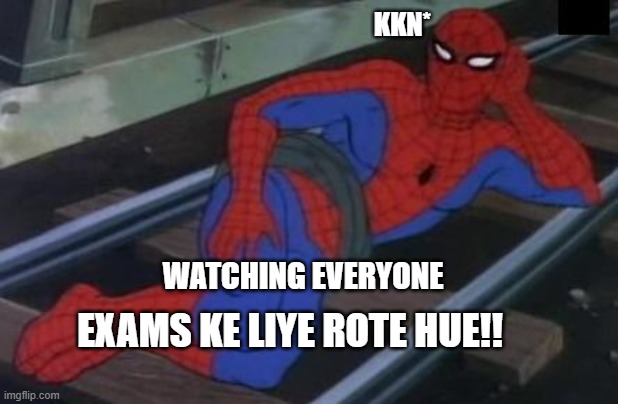 Sexy Railroad Spiderman | KKN*; WATCHING EVERYONE; EXAMS KE LIYE ROTE HUE!! | image tagged in memes,sexy railroad spiderman,spiderman | made w/ Imgflip meme maker