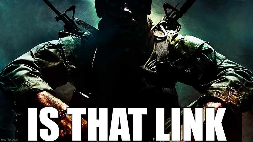 Black ops guy | IS THAT LINK | image tagged in black ops guy | made w/ Imgflip meme maker