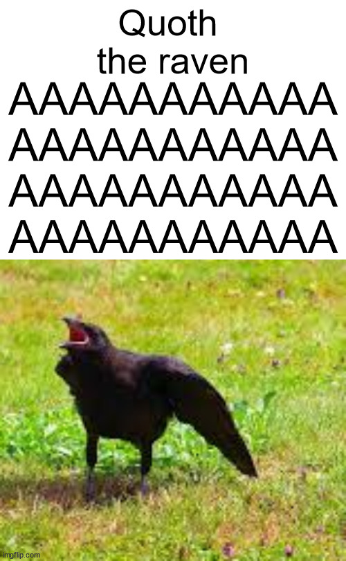 Quoth 
the raven; AAAAAAAAAAA
AAAAAAAAAAA
AAAAAAAAAAA
AAAAAAAAAAA | made w/ Imgflip meme maker