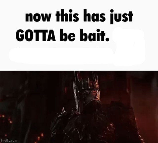 Now this has GOTTA be bait | image tagged in now this has gotta be bait | made w/ Imgflip meme maker