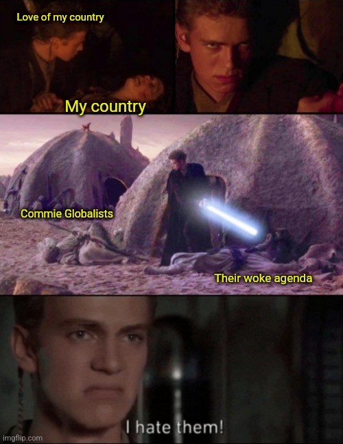 I know how Anakin felt | Love of my country; My country; Commie Globalists; Their woke agenda | image tagged in star wars,anakin skywalker,globalism,communism,woke,hate | made w/ Imgflip meme maker