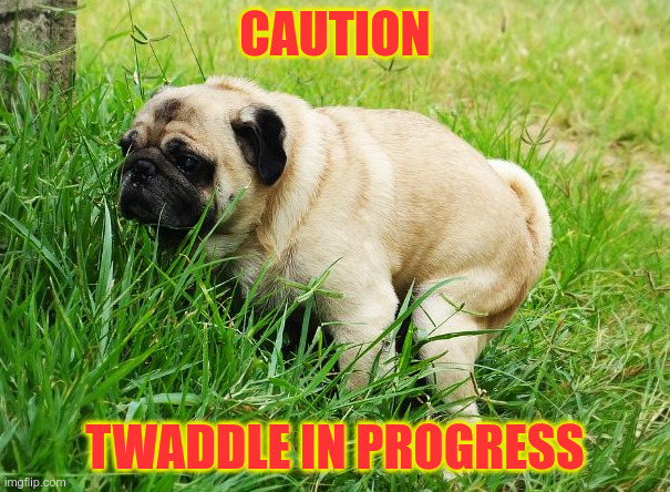 Twaddle in progress | CAUTION; TWADDLE IN PROGRESS | image tagged in caution,funny memes | made w/ Imgflip meme maker