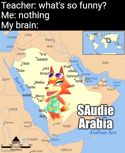 I have no idea | Teacher: what's so funny?
Me: nothing 
My brain:; SAudie Arabia | image tagged in saudi arabia,animal crossing,wolf,memes,funny,teacher what are you laughing at | made w/ Imgflip meme maker