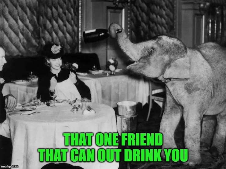 Drink like an elephant | THAT ONE FRIEND THAT CAN OUT DRINK YOU | image tagged in elephant drinking | made w/ Imgflip meme maker